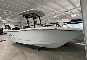 2026 Robalo R230 Solid Ice Blue Boat